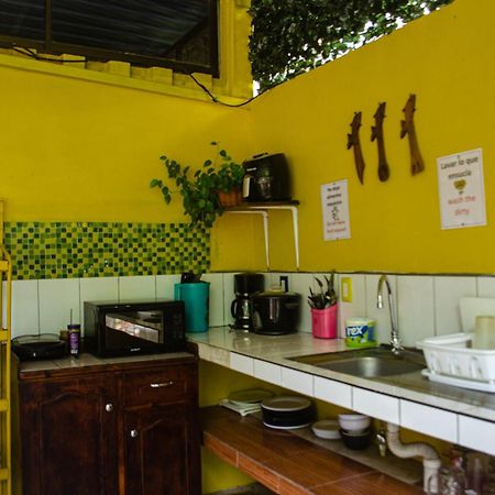 The Jungle Container Bed & Breakfast Quepos Exterior photo