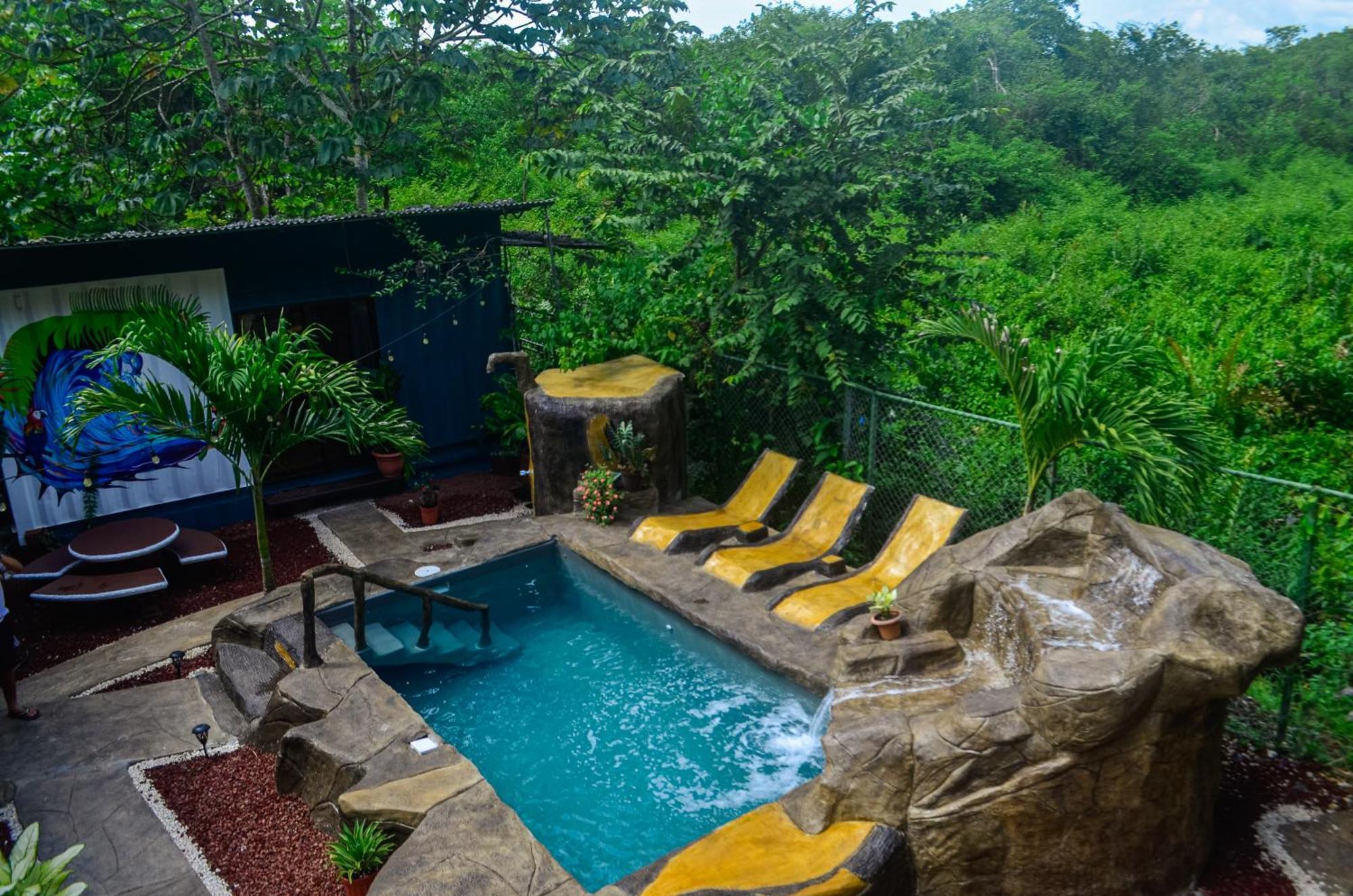 The Jungle Container Bed & Breakfast Quepos Exterior photo